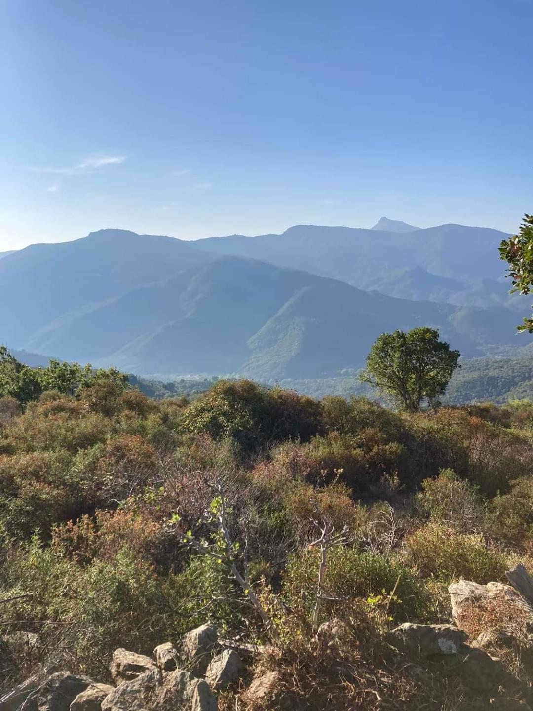 Maison De Village Avec Vue Sur Les Montagnes Bigorno Eksteriør billede